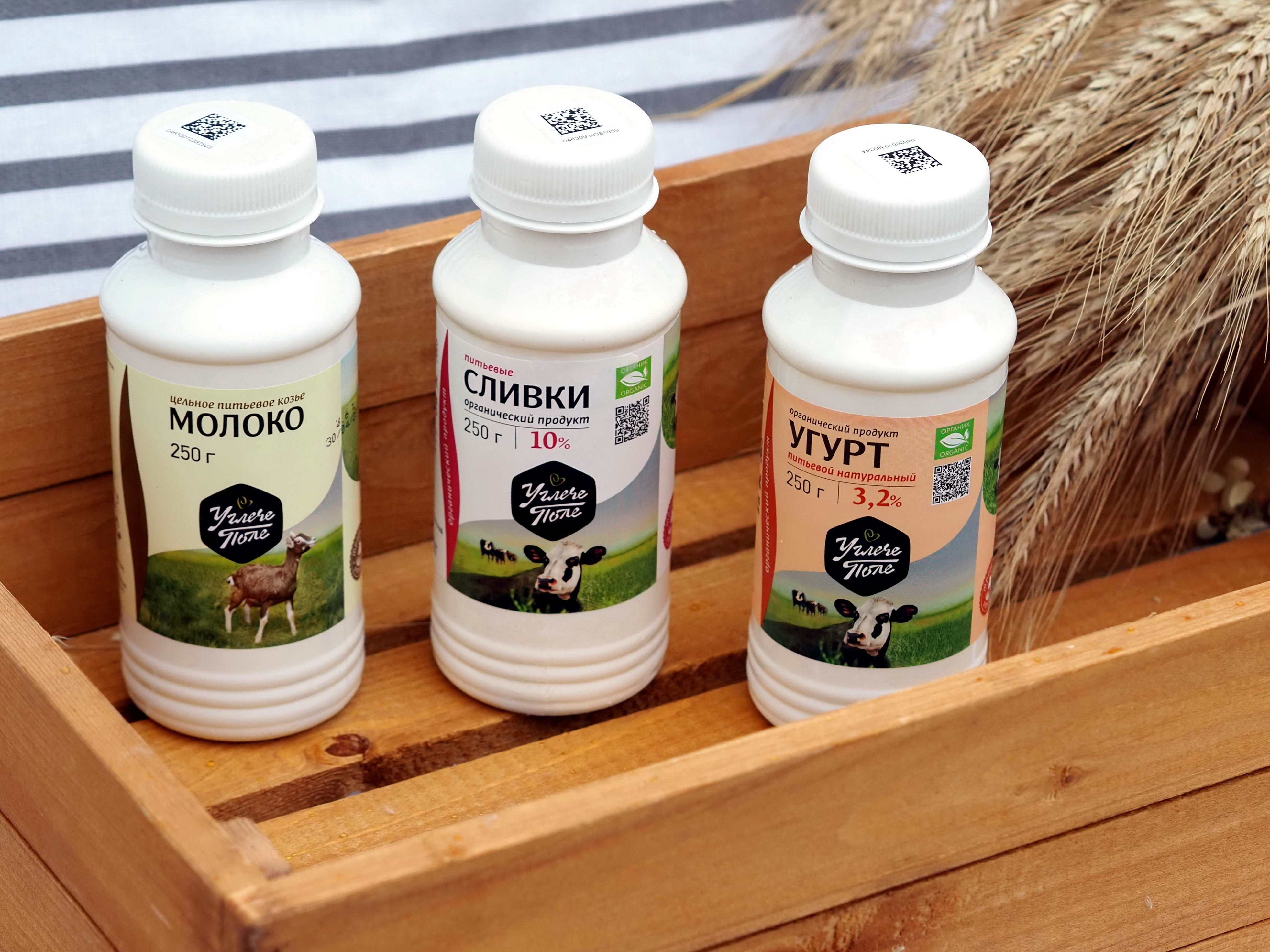 Еда как инструмент благополучия: что будет в тренде в 2026 году? 